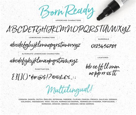 Born Ready Marker Font Script Fonts Creative Market