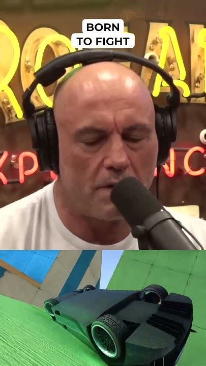 Born to Fight - YouTube