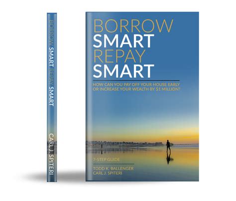 Borrowing Smart and Efficiently: The Spark Finance Example