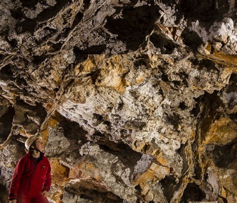 Borzsak Boglarka Leaked 💋 [SEX VIDEO]