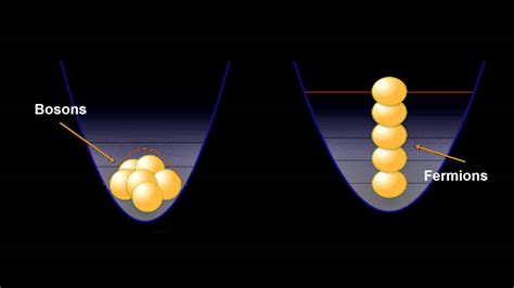 Bosons and fermions