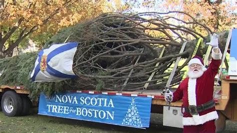 Boston’s official 2023 Christmas Tree arrives from Nova Scotia