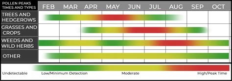 See the latest allergy index and pollen counts for mold, oak, mulberry, sycamore, and ash pollen. Keep up to date on daily pollen counts with FOX 2.. 