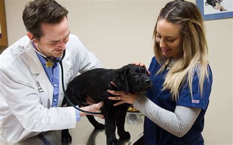 Boston animal hospital. Erin Watson – Regional Practice Manager. Erin joined Boston Animal Hospital in September 2016 with an extensive background in veterinary medicine spanning over 25 years. She is … 