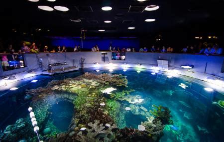 Get admission to the Museum of Science and save 45% with Boston CityPASS® tickets. s. Save 45% at 4 ... New England Aquarium Boston Harbor City Cruises ... Also the price was just right. There were 4 of us, so technically one of the visits was free. Highly recommend Buying the passes.. 