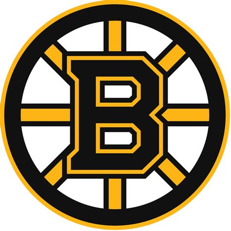 Boston Bruins je hokejový klub NHL sídliaci v Bostone v americkom štáte Massachusetts. Hrá v Atlantickej divízii Východnej konferencie. Je víťazom Stanley Cupu v rokoch 1929, 1939, 1941, 1970, 1972 a 2011 .