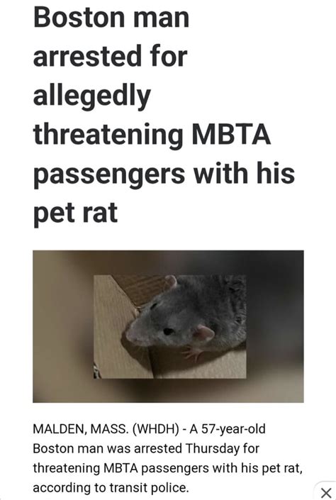 Boston man arrested for threatening MBTA passengers with his pet rat