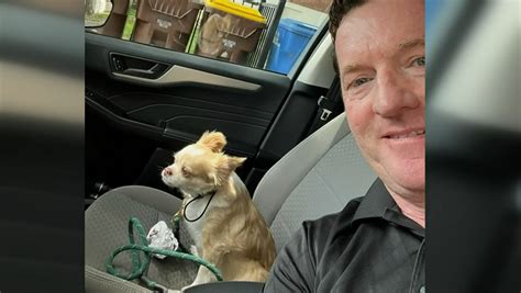 Boston police arrest suspect, return dog stolen from owner in Back Bay