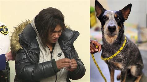 Boston woman accused of punching and kicking a dog near Boston Common
