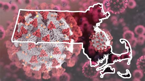Boston-area COVID data keeps falling, Massachusetts virus cases down 15%