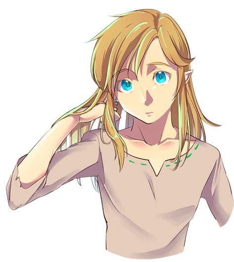BotW Link with his hair down linkiscute