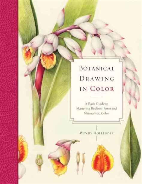 Botanical Drawing In Color A Basic Guide To Master