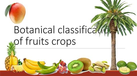 Botanical classification of fruit crops.  182&ndash;185.  In this detai...