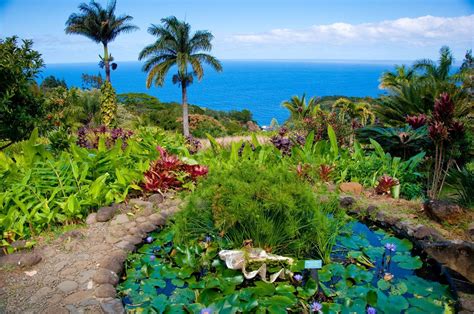 Botanical garden kauai. Things To Know About Botanical garden kauai. 