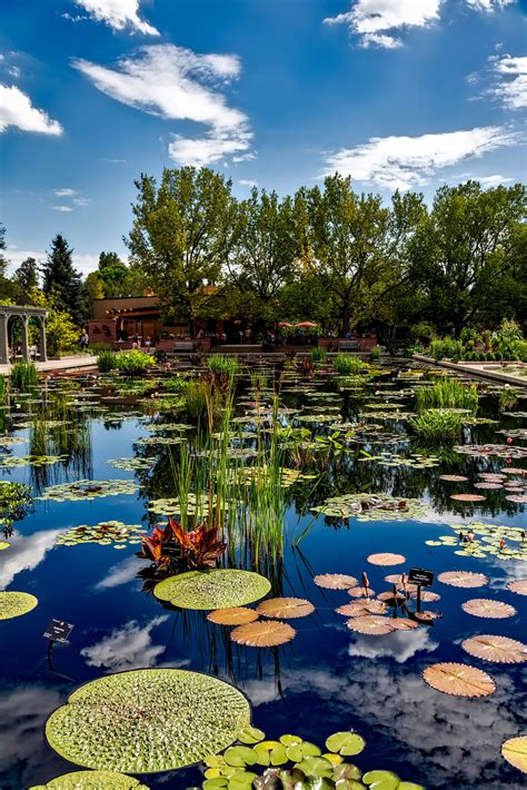 Botanical gardens denver. Denver Botanic Gardens is a nonprofit, Equal Opportunity Employer who welcomes people seeking careers or internships. Employment decisions will be based on merit, qualifications and abilities. Submit your job application from the ‘Apply’ link for each open position. 