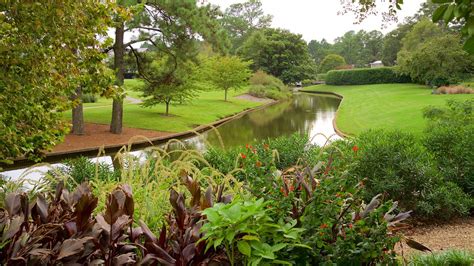 Botanical gardens norfolk va. NORFOLK, Va. (WAVY) – Norfolk Botanical Garden is getting ready to welcome guests to the Dominion Energy Garden of Lights, Walk the Garden Aglow starting in November. Visitors will again be able ... 