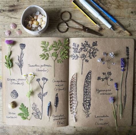 Botanical sketchbook inspiration and guide to keeping a sketchbook. - Mta chiller tae evo 081 manual.