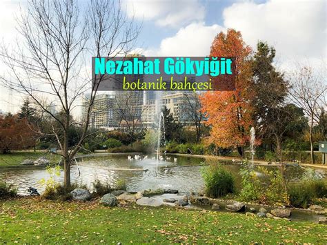 Botanik park istanbul ataşehir