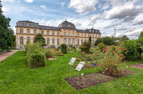 Botanischer garten bonn parken