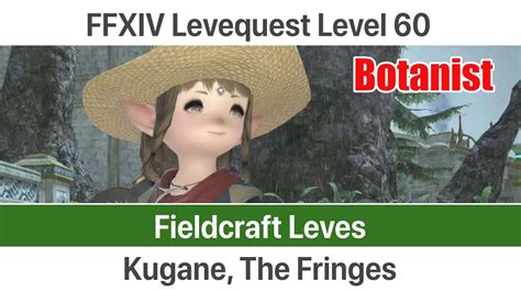 Botanist leves. Botanists Levequests. Botanists are the tree/plant loving gatherers in Final Fantasy XIV: A Realm Reborn. They are also only one of three of the gathering classes available in the game, … 