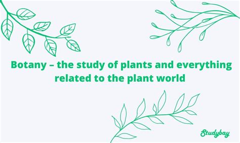 Botany For Novices