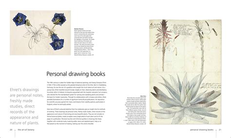 Botany for the artist an inspirational guide to drawing plants by sarah simblet. - Baixar manual psp 3000 em portugues.