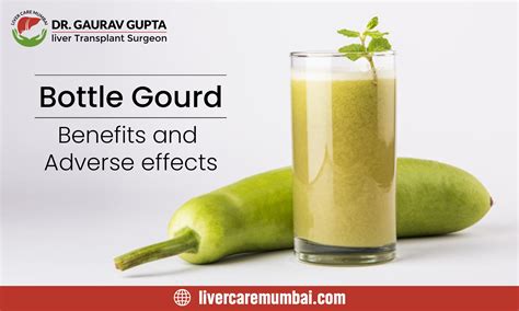 Bottle Gourd: Uses, Benefits, Side Effects and More!