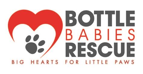Bottle babies rescue. Generous giveaways and fun swag will be available for attendees of all ages. Plus, adoption costs for dogs from Bottle Babies Rescue, Friends of Detroit Animal Care & Control, and Bark Nation will be covered by Purina Pro Plan. Whether you're a fan of the Lions, a dog lover, or both, The Pride Unleashed promises to be a tail-waggingly good ... 
