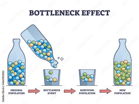 Bottleneck effect - definition of Bottleneck effect by The Free …