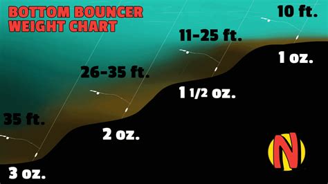 Depth chart & description. Bottom bouncer r