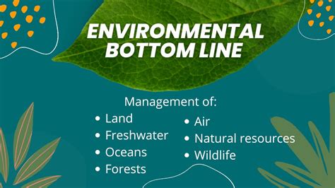 Bottom line savings reviews. .  <a href=https://redeng.ru/g5kv/funeral-homes-whatcom-cou...