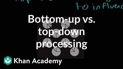 Bottom-up vs. top-down processing (video) Khan Academy