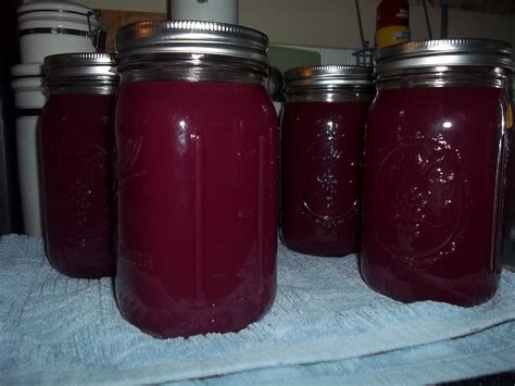 Botulism: The Hidden Danger In Grape Juice Simply Healthy Vegan