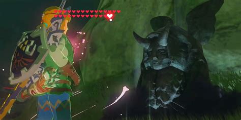 Botw heart glitch 2023. Things To Know About Botw heart glitch 2023. 
