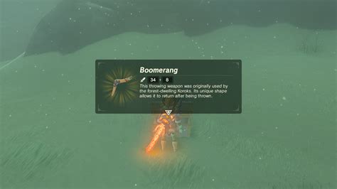 Botw item ids. .  ...