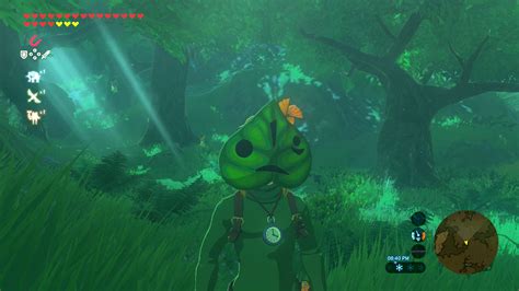 Welcome to our Breath of the Wild Walkthrough. We currently have a complete guide of the Main Quest, Side Quests, all Korok Seed Locations, all Shrines, and much more. Our Breath of the Wild Walkthrough is divided into multiple sections. Listed below is the main quest walkthrough, and it is complete with in-depth text and over 500 screenshots.. 