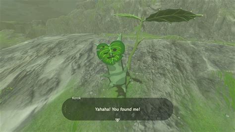 Korok Seed #19: Located at the very top of the