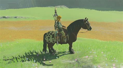 Botw soothe horse. The game is called Breath of the WILD, the horses misbehaving mechanic is just there to reinforce the feeling that you're taming WILD horses. You have to put up with that for literally 2 minutes before they stop doing that, c'mon man. In the time it took you to write those rants you could have captured and max-bonded like 3 horses. 