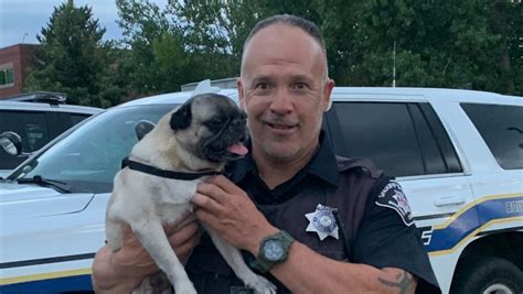 Boulder deputy rescues pug from stolen vehicle 