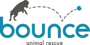 Bounce animal rescue. I didn’t earn the nickname “Tourette’s” for my great small talk skills. If there is a way to accidenta I didn’t earn the nickname “Tourette’s” for my great small talk skills. If th... 