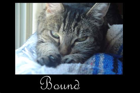 😈 (SEX) Bound_Mila Leaks