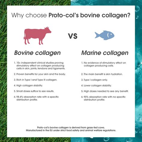 Bovine Collagen vs. Marine Collagen: The Difference and …