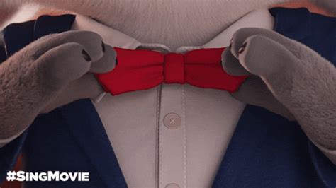 Bow Tie GIFs - Get the best GIF on GIPHY