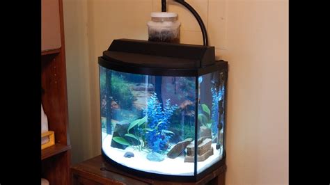 Nov 29, 2023 · A bow front aquarium is an excellent choice for aquarium enthusiasts who are looking for a unique and visually appealing aquarium setup. One of the primary …. Bow front aquarium