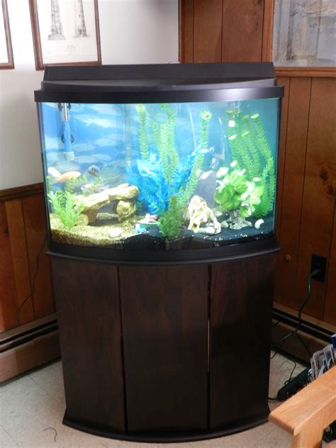 Bow front aquarium lid. Full-length feeding door gives access to the aquarium for feeding, cleaning and other maintenance. Glass top hinge has clear strip that can be cut to custom fit around accessories. Choose top according to aquarium size. Fits Aqueon Aquarium Size: 46 Bow Front. Dimensions Approx: 35 inches long by 15 inches wide (back to front) 