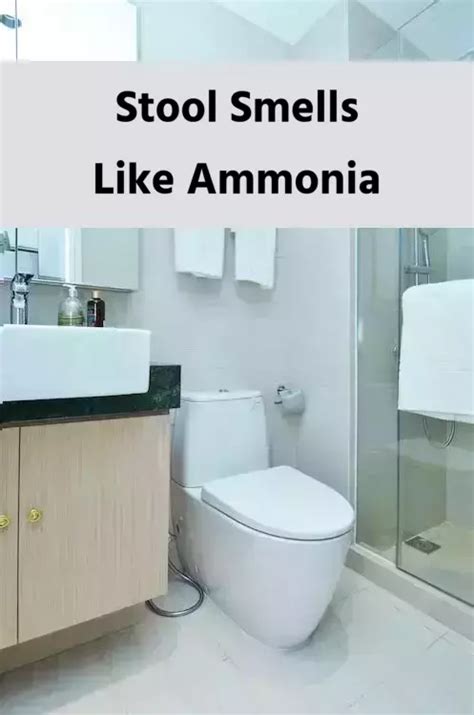 Bowel movement smells like ammonia. Things To Know About Bowel movement smells like ammonia. 
