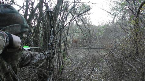 Bowhunting from the ground Hunt Talk