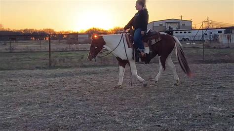 Bowie tx horse sale. Apr 7, 2024 ... Bowie Texas Livestock April 6th Catalog Sale. Bowie TX Horse Sale•30 watching · 7:35 · Go to channel · Early Consignments for 3 ... 