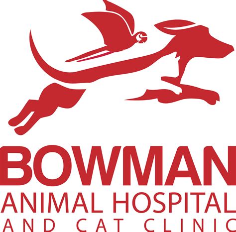 Bowman animal hospital. She completed an internship at Oklahoma State after veterinary school and joined Bowman Road Animal Clinic in 2016. Dr. Lauren and Dr. Craig have four kids and lots of pets! She sees appointments on Monday and Tuesdays and one Saturday a month. Her favorite things to do outside the clinic are homeschooling, gardening, baking, and traveling. 