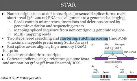 Bowtie2 Alignment summary - Biostar: S